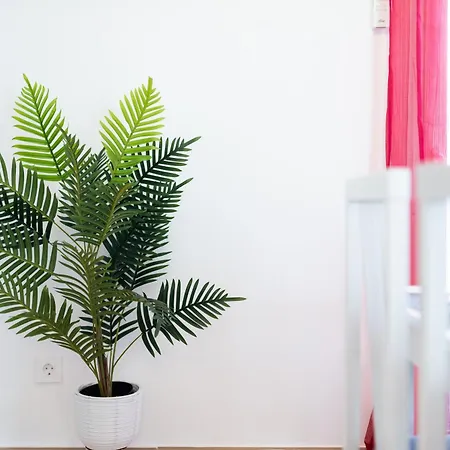 Apartmán Coqueto En Realejo